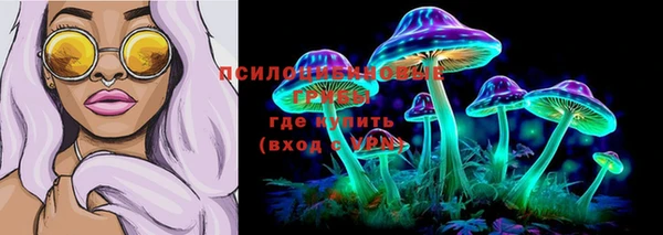 первитин Вяземский