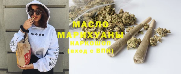 гидра Вязьма