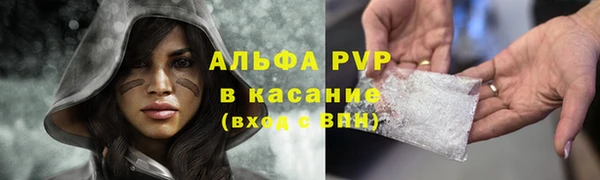 гидра Вязьма