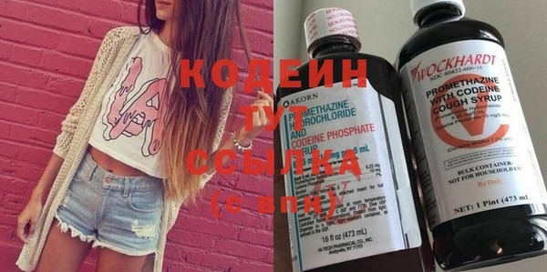 гидра Вязьма