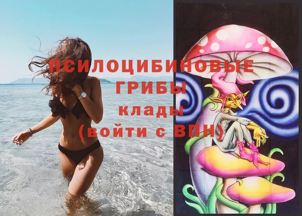 первитин Вяземский