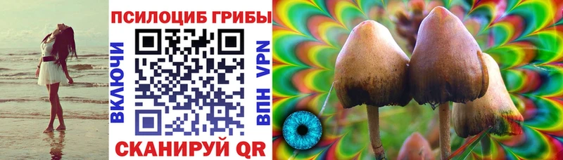 Псилоцибиновые грибы Psilocybe  Купить  Михайловск 